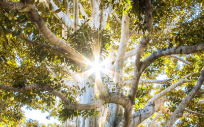 Let’s Talk About Your Mission