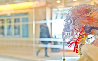 Maintaining Overall Brain Health